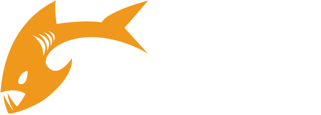 Payara Logo